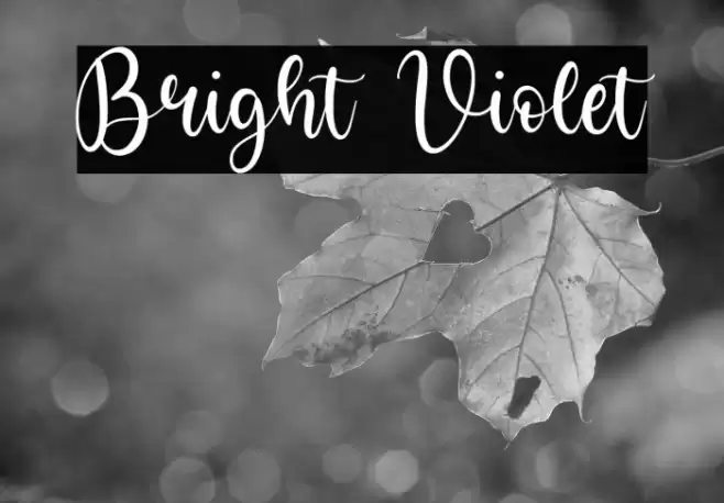 Bright Violet Font examples