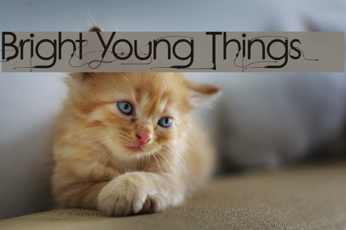 Bright Young Things Example 2