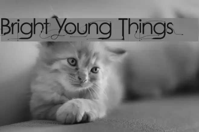 Bright Young Things Font examples