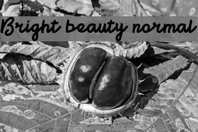 Bright beauty normal Font examples