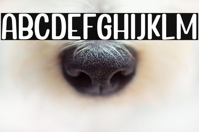 BrightAurora-Regular Example 1