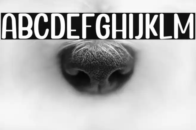 BrightAurora-Regular Caratteri examples