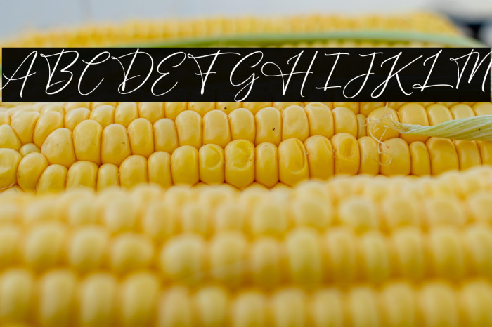 BrightDailyFREE Example 1