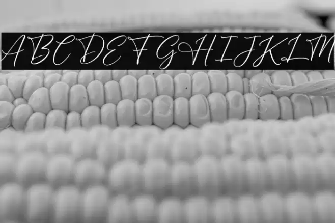 BrightDailyFREE Font examples