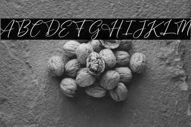 BrightDailyFREE Font examples