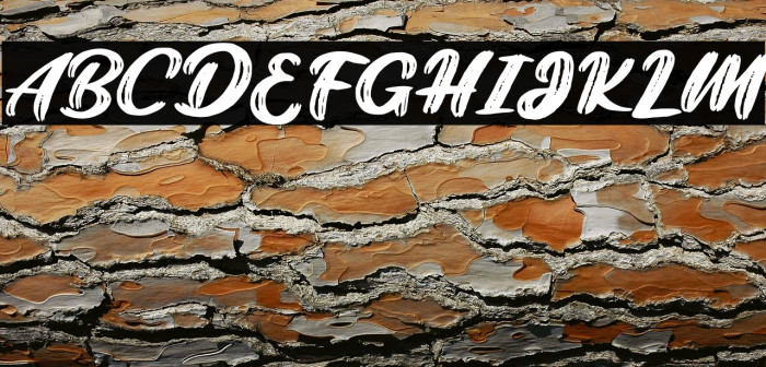 BrightFREE Example 1