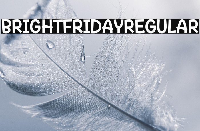 BrightFridayRegular Example 2