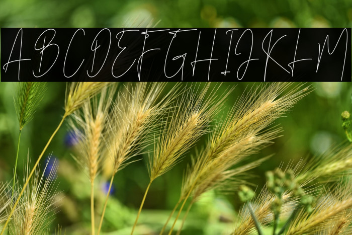 BrightSalkiy Example 2