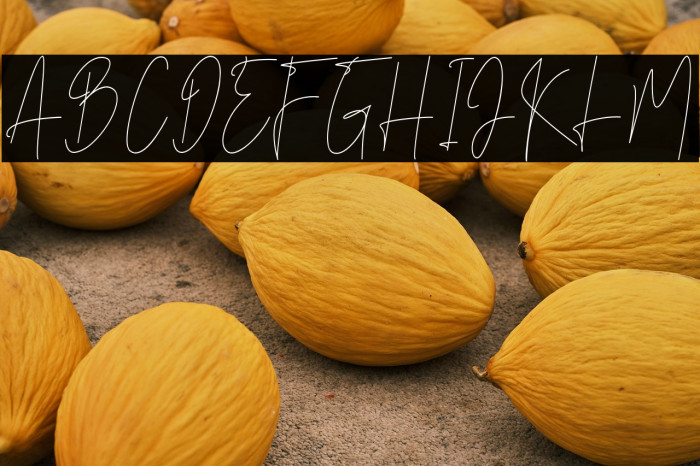 BrightSalkiy Example 3