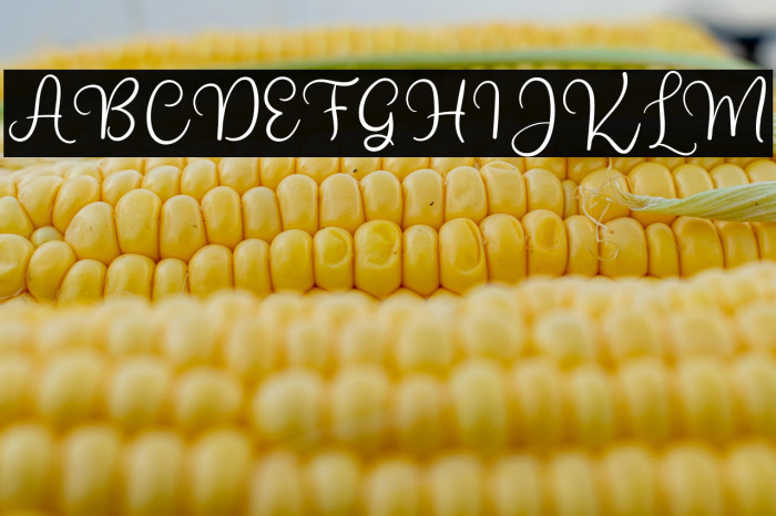 BrightStarDafont-Regular Example 3