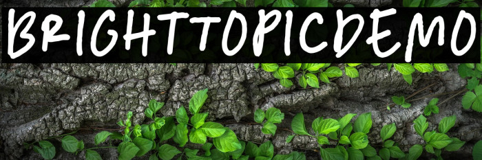 BrightTopicDemo Example 2