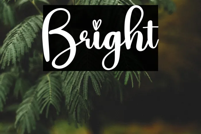 Bright Example 3