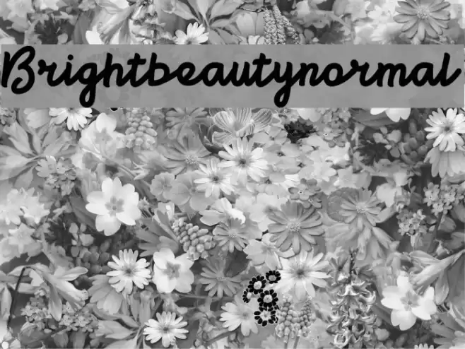 Brightbeautynormal Font examples
