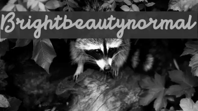 Brightbeautynormal Font examples