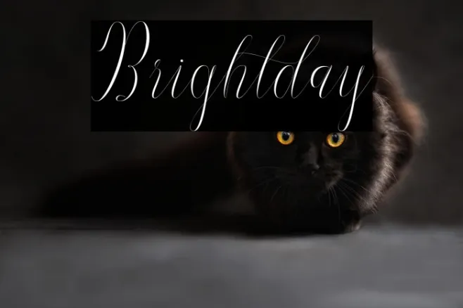 Brightday Example 2