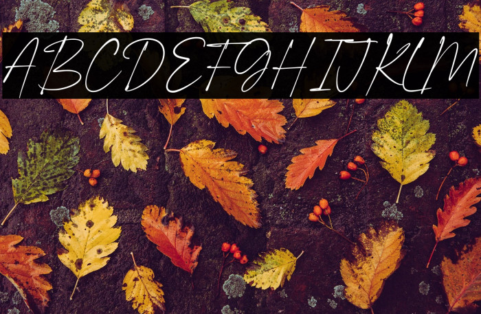 Brighter Sunday Personal Use Example 2