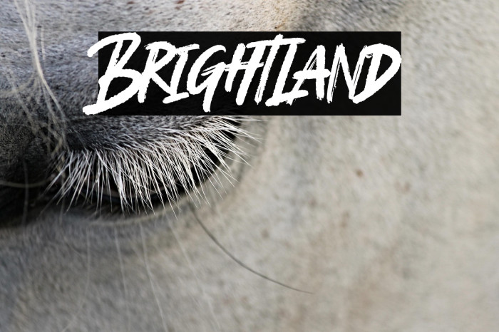 Brightland Example 2