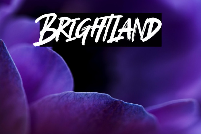 Brightland Example 3