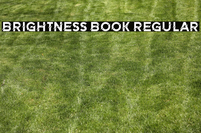 Brightness Book Regular Example 1