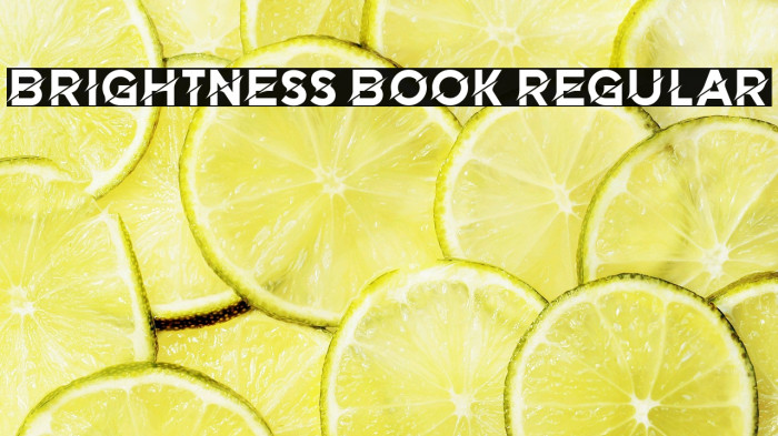 Brightness Book Regular Example 2