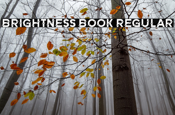 Brightness Book Regular Example 3