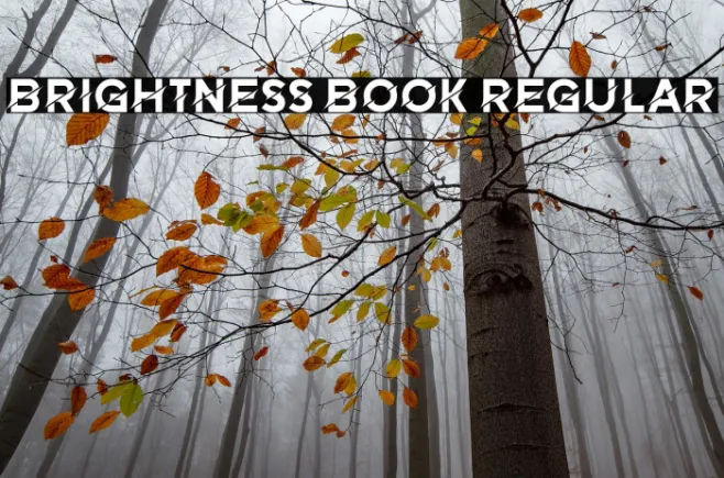 Brightness Book Regular Example 3