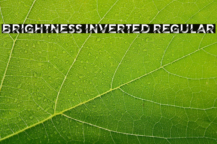 Brightness Inverted Regular Example 1