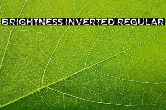 Brightness Inverted Regular Example 1