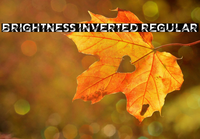 Brightness Inverted Regular Example 2