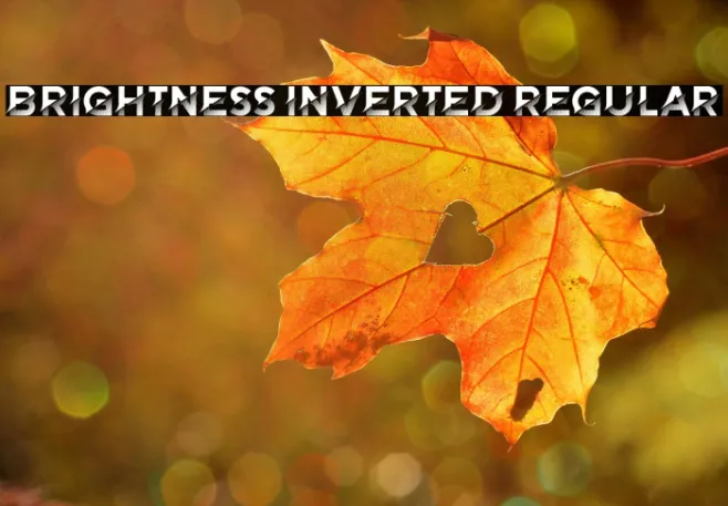 Brightness Inverted Regular Example 2