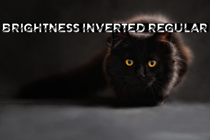 Brightness Inverted Regular Example 3
