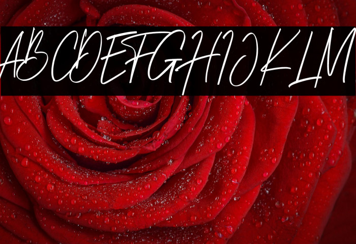 Brightness Reguler Example 3