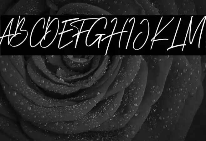 Brightness Reguler Font examples