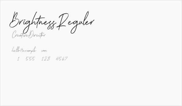 Brightness Reguler Business Card