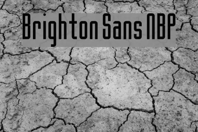Brighton Sans NBP Font examples