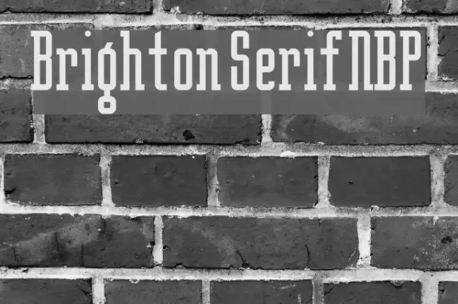 Brighton Serif NBP Font examples