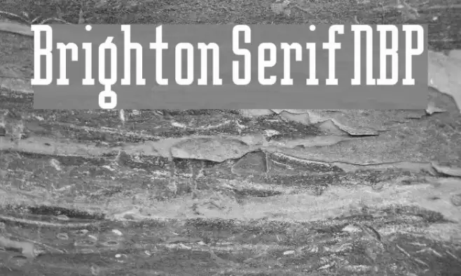 Brighton Serif NBP Font examples