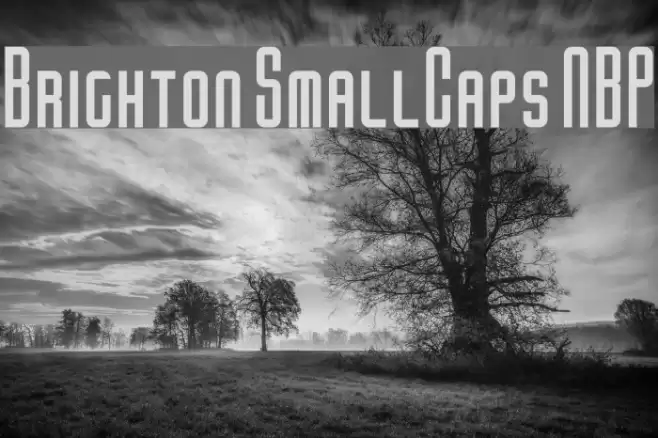Brighton SmallCaps NBP Font examples
