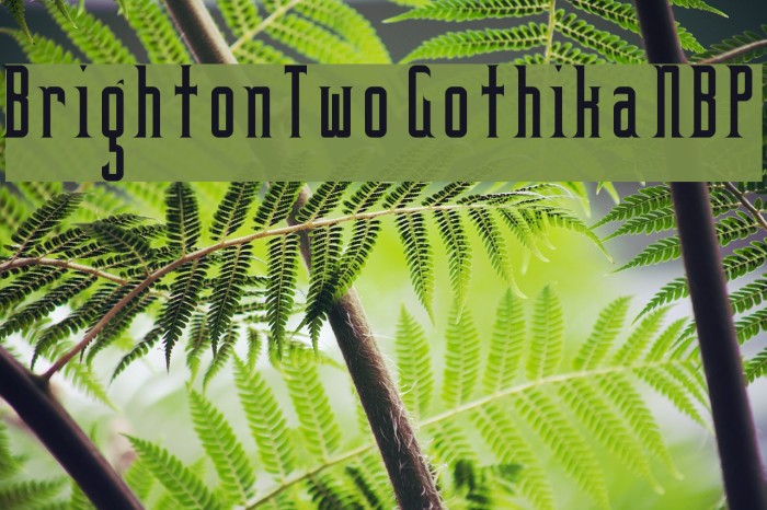 BrightonTwo Gothika NBP Font examples