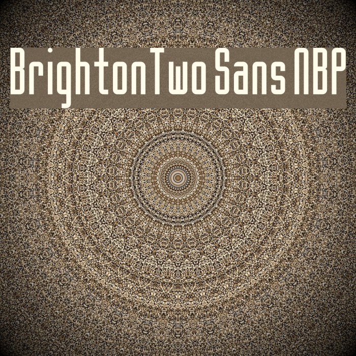BrightonTwo Sans NBP Font examples