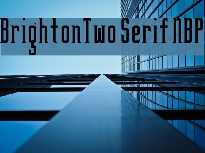 BrightonTwo Serif NBP Font examples