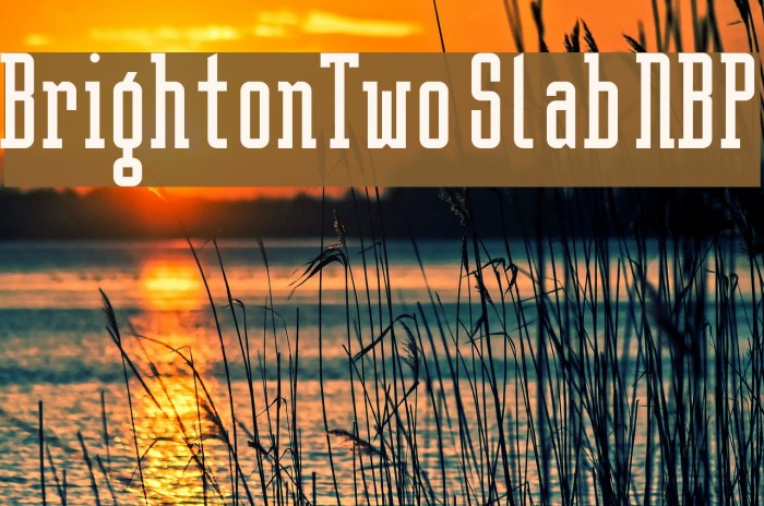 BrightonTwo Slab NBP Font examples