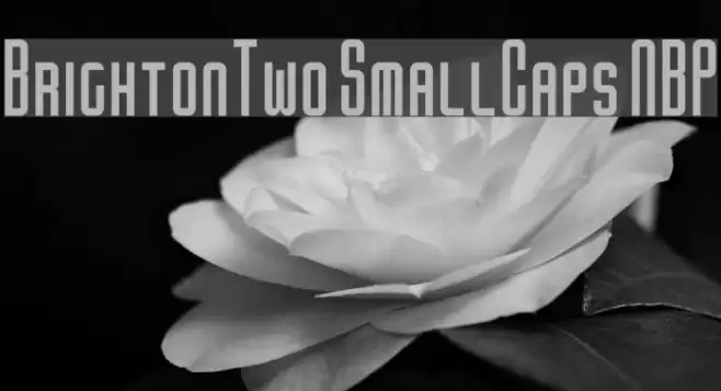 BrightonTwo SmallCaps NBP Font examples