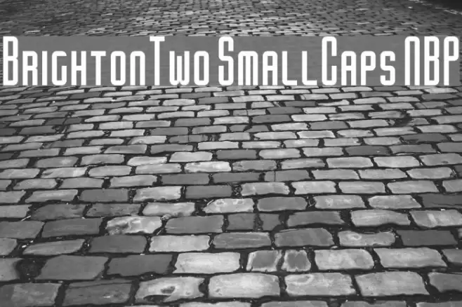 BrightonTwo SmallCaps NBP Font examples