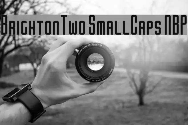 BrightonTwo SmallCaps NBP Font examples