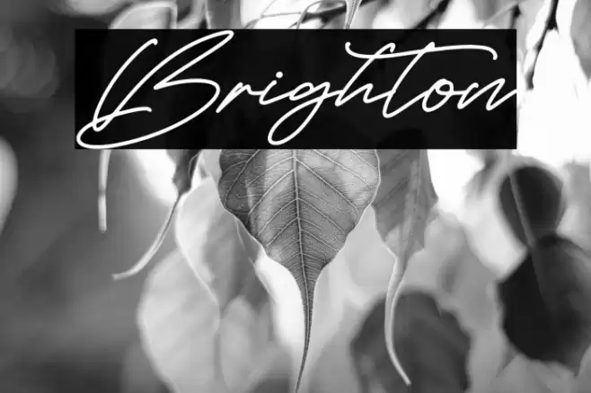 Brighton Font examples