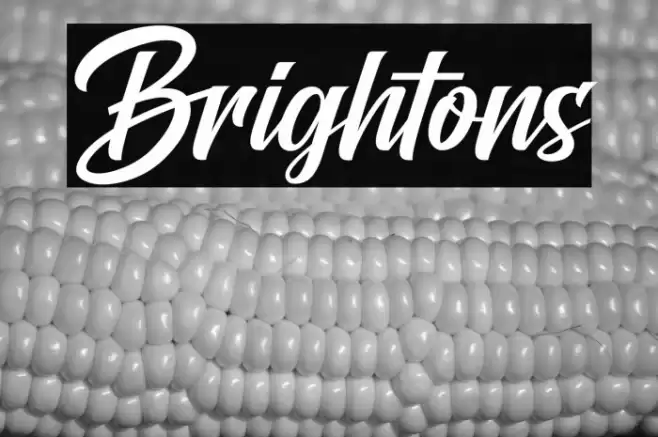 Brightons Font examples