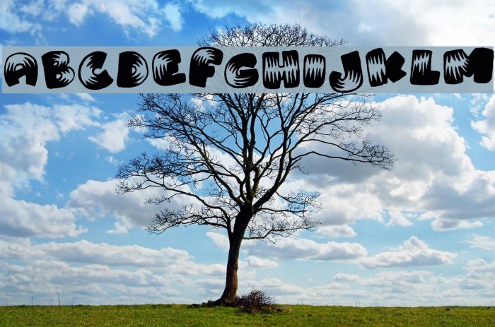 Brightoon Plain Example 3