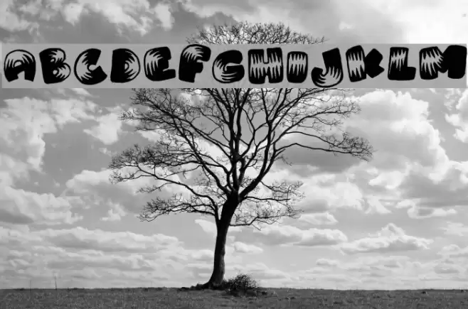 Brightoon Plain Font examples