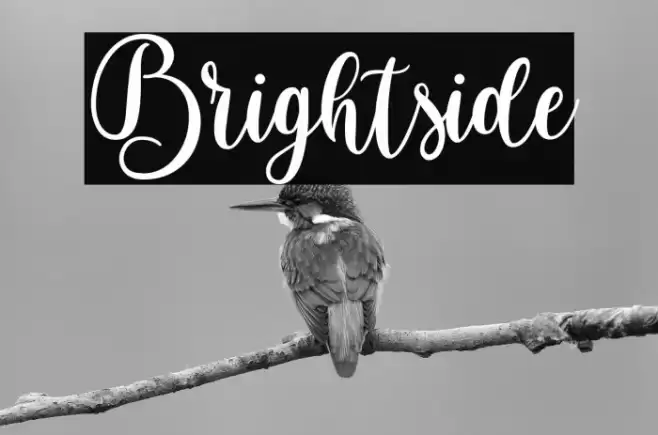 Brightside Font examples